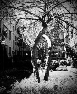 Urban Photography Gallery